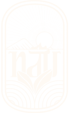 TIỆM TRÀ NÂU| TRÀ SỮA NGON GÒ VẤP